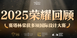 赛塔林2025年度荣耀回顾